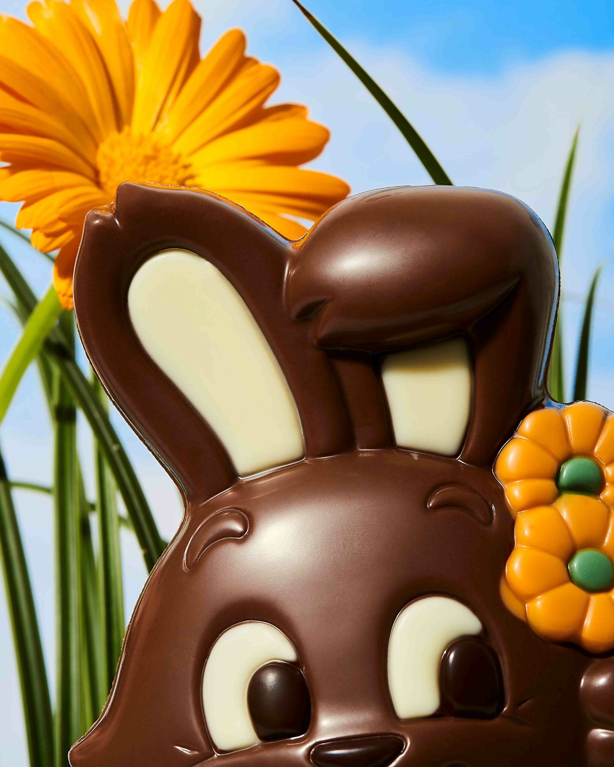 Plan de travail 1 copie 2