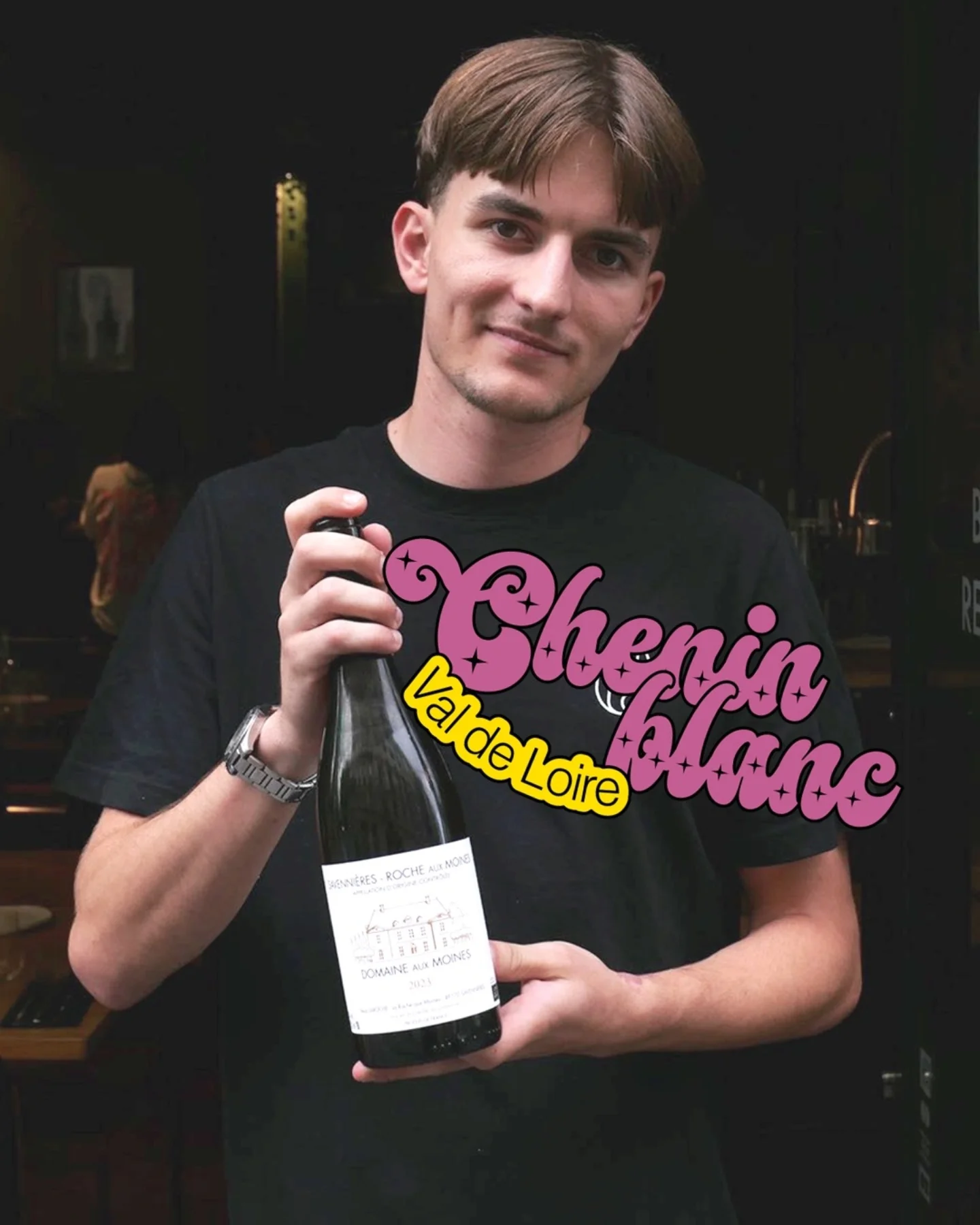 vin val de loire vinsta